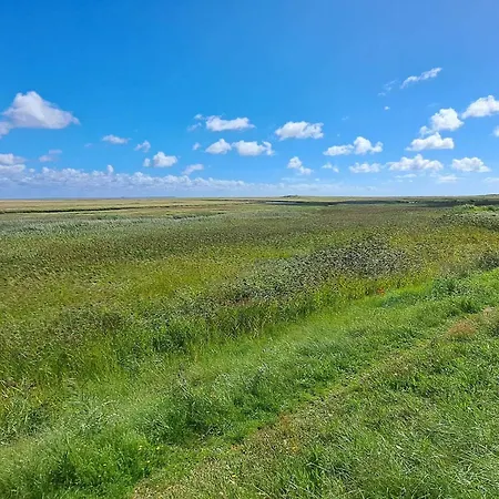 Cozy Retreat In - By Traum Dom wakacyjny Sønderho